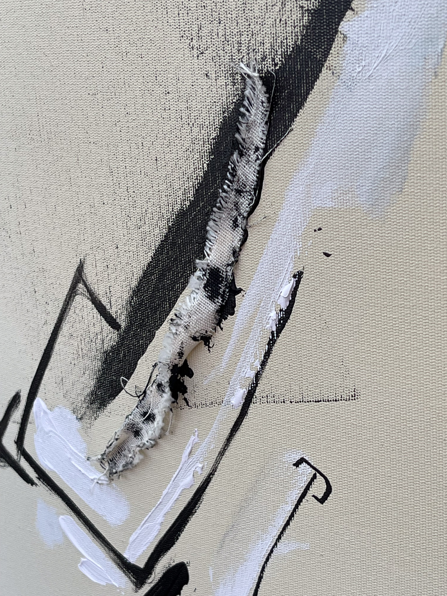 ENTRE RASGOS E CORES, A HERANÇA FAMILIAR - Imagem 4