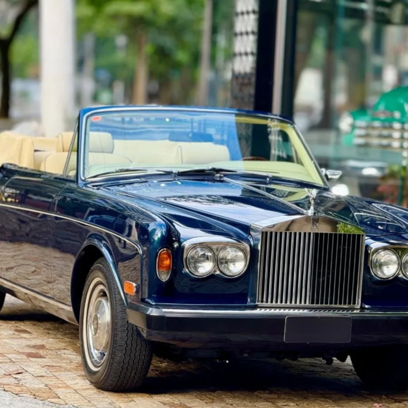 Design sem nome – 2025-05-01T151459.550