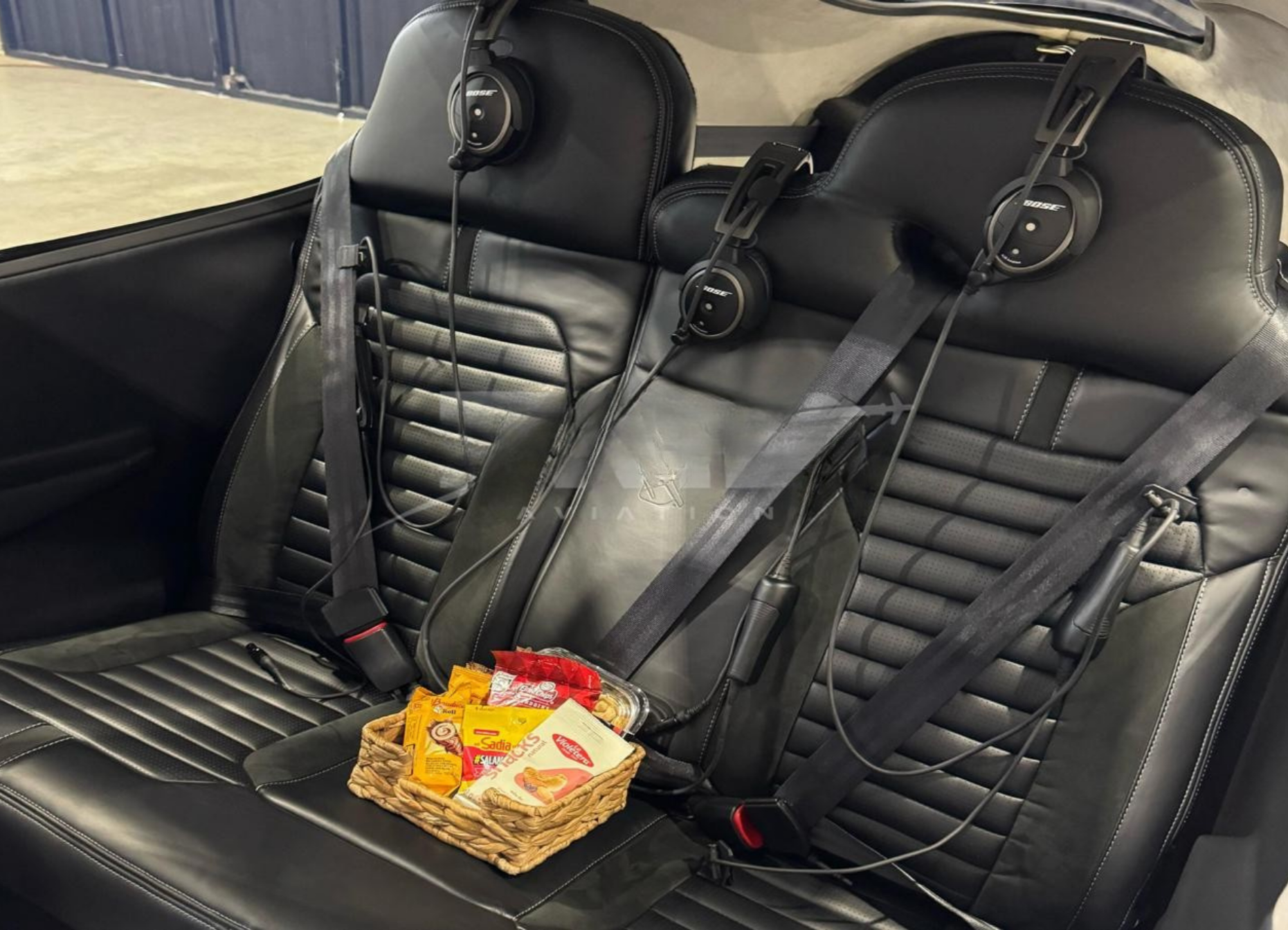 CIRRUS SR22 GS 2016 - Imagem 3